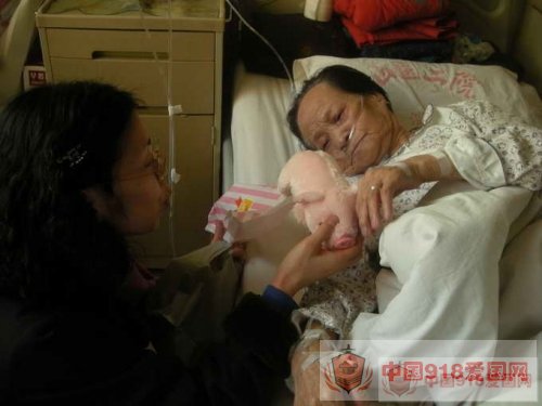 点击查看原图 中国慰安妇对日诉讼第一人万爱花去世